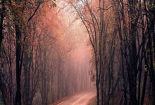 哥伦比亚女足实现逆袭，实力惊人