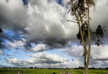 谢菲联主场战胜对手，连续两轮赢球