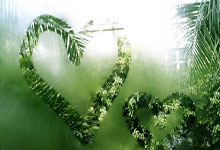 菲尔特队在客场比赛中取得胜利