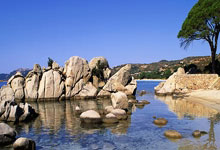 法国困境求生，胜利之路坎坷不平